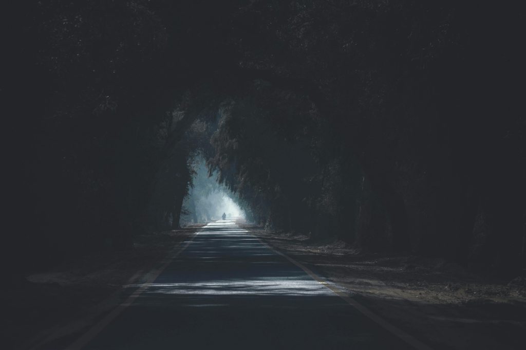 A scenic and atmospheric road with tree silhouettes creating a dark and mysterious tunnel effect.